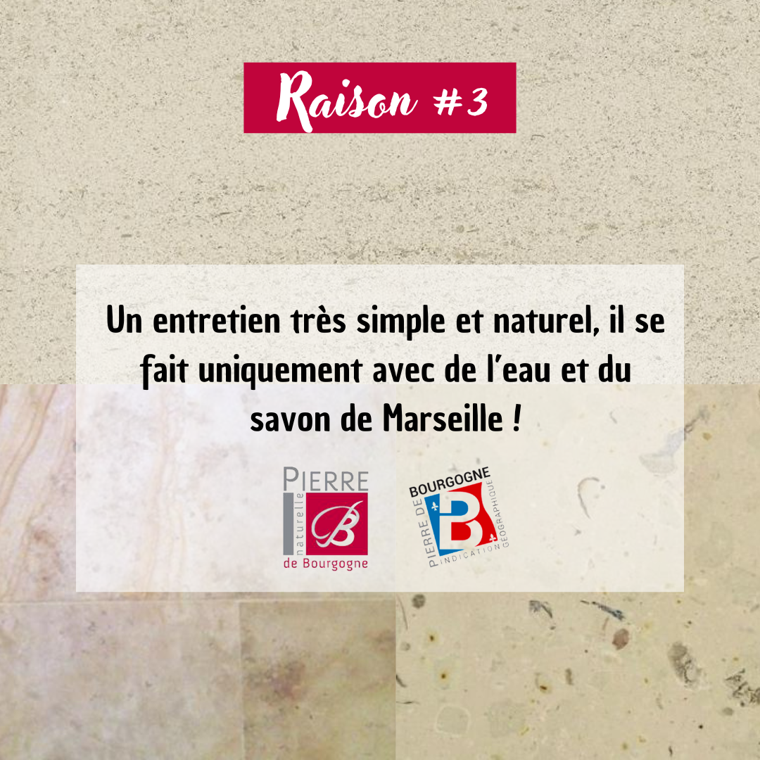 pierre de bourgogne raison 3